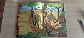 Plata no es: Libro de adivinanzas para jovenes ...