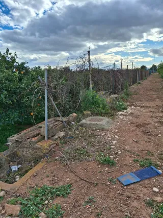 venta campo agrícola rafelbuñol
