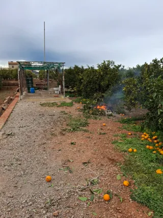 venta campo agrícola rafelbuñol