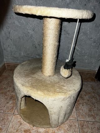 Casa gatto con tiragraffi