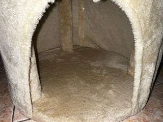 Casa gatto con tiragraffi