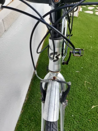 Bicicleta de adulto