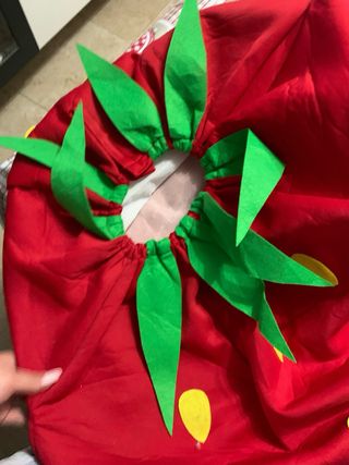 Disfraz de fresa para adulto