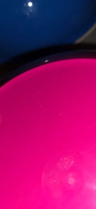 Set 2 Ciotole Tupperware Blu e Rosa