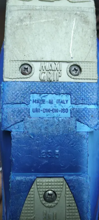 Botas de esquí Lange azules