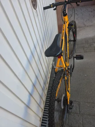 Bicicleta de Montaña Naranja