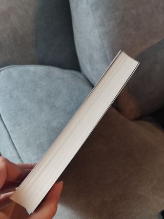 Novela romántica El día en el que enloquecieron...