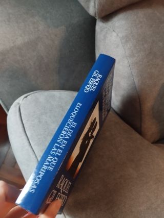 Novela romántica El día en el que enloquecieron...