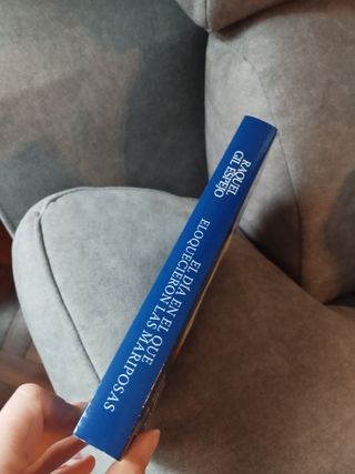 Novela romántica El día en el que enloquecieron...