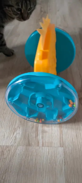 Espejo Erizo Fisher-Price para Gateo