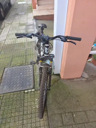 Bicicleta de Montaña