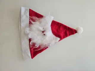 Vestito Babbo Natale Bambino Rosso