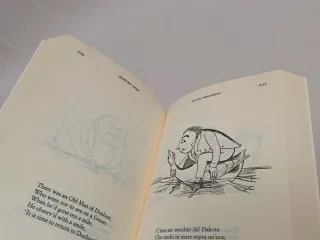 Il libro dei nonsense