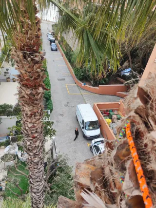 Tala, poda en altura y servicios forestales