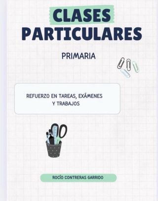 Clases de refuerzo particulares