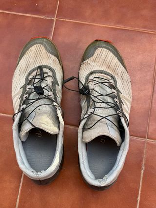 Salomon Sense Ride 4 Talla 44