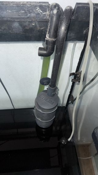 Acuario juwel 200L completo + accesorios