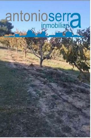 Terreno en venta en Zona Avenida al Vedat en Torrent