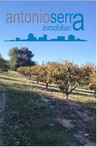 Terreno en venta en Zona Avenida al Vedat en Torrent