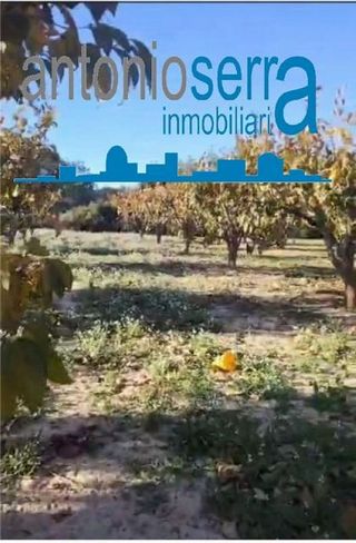 Terreno en venta en Zona Avenida al Vedat en Torrent