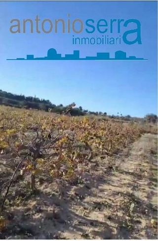 Terreno en venta en Zona Avenida al Vedat en Torrent