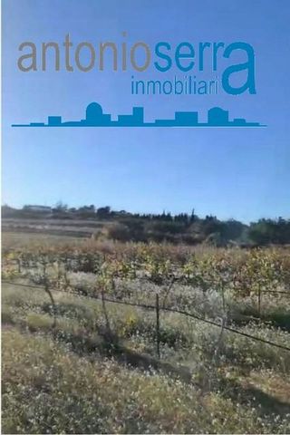 Terreno en venta en Zona Avenida al Vedat en Torrent