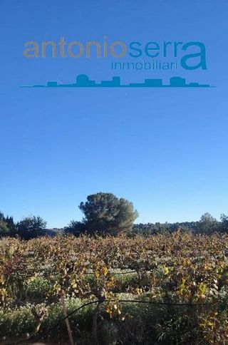 Terreno en venta en Zona Avenida al Vedat en Torrent