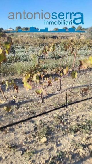 Terreno en venta en Zona Avenida al Vedat en Torrent