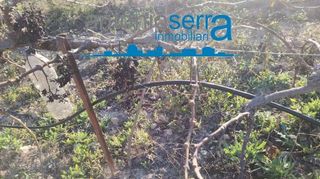 Terreno en venta en Zona Avenida al Vedat en Torrent