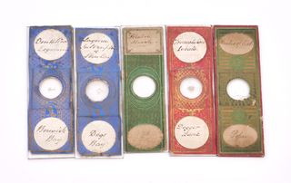 30 Preparados Microscopio Antiguos S.XIX