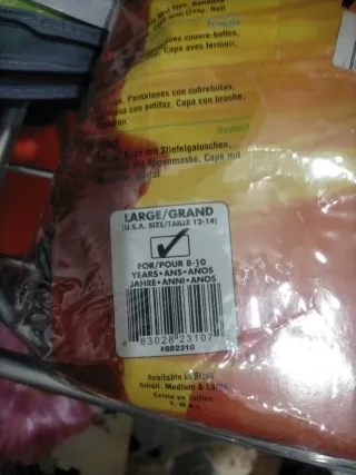 Disfraz de niño Zorro