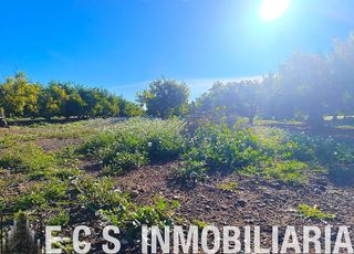 Terreno en venta en Rafelbuñol/Rafelbunyol