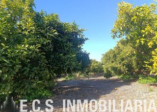 Terreno en venta en Rafelbuñol/Rafelbunyol