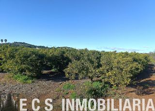 Terreno en venta en Rafelbuñol/Rafelbunyol