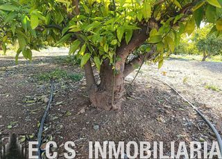 Terreno en venta en Rafelbuñol/Rafelbunyol