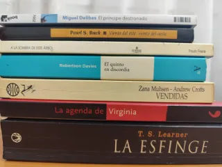 Lote de novelas y ensayos