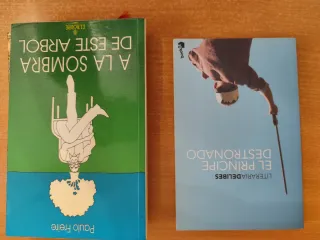 Lote de novelas y ensayos