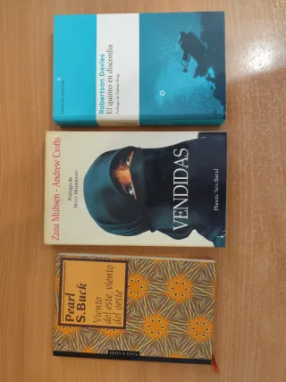 Lote de novelas y ensayos