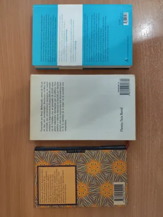 Lote de novelas y ensayos