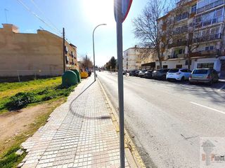 Local comercial en venta en Campillos