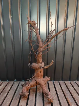 Raíz/tronco (EMERGIDO) Decoración acuario OFERTA!