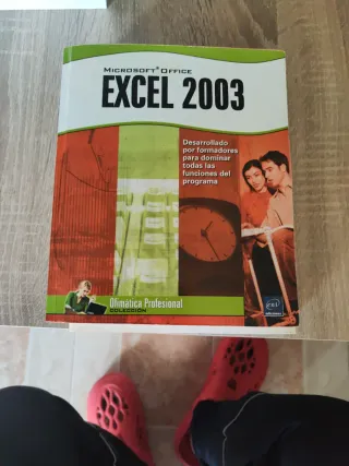 HTML 5, CSS 2, Java 2, C/ C++,Visual Basic y Excel