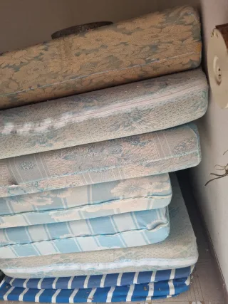 Materassi singoli in schiuma 15€ ciascuno.