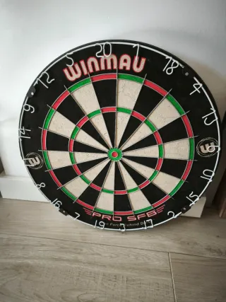 Diana de dardos Winmau