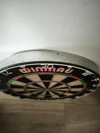 Diana de dardos Winmau