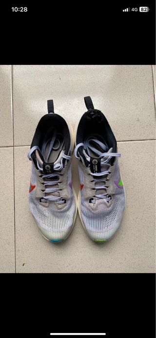 Nike Pegasus 40 Mujer