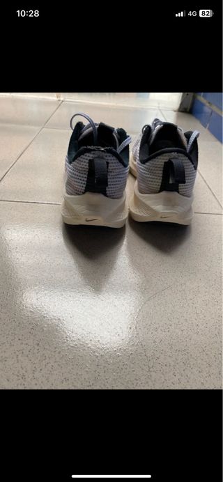 Nike Pegasus 40 Mujer