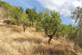 Terreno en venta en Otura