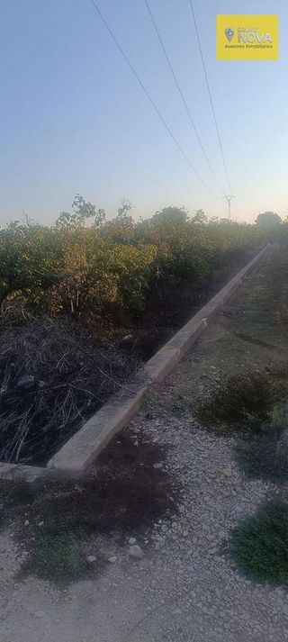 Terreno en venta en Zona Polígono en Alzira