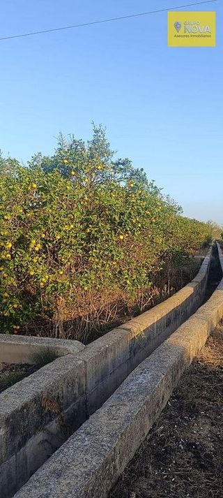 Terreno en venta en Zona Polígono en Alzira